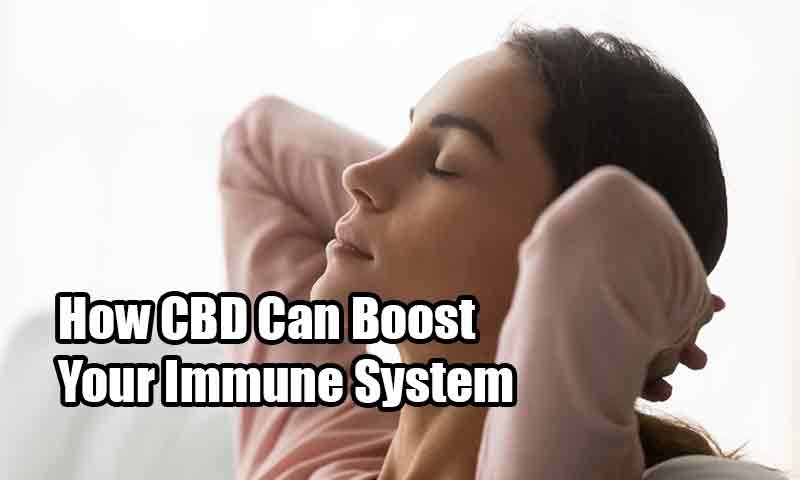 How CBD Can Boost Your Immune System