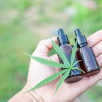 Buy CBD Oil Thailand, 7 Things You MUST Know Before Ordering Online (2026 Guide)