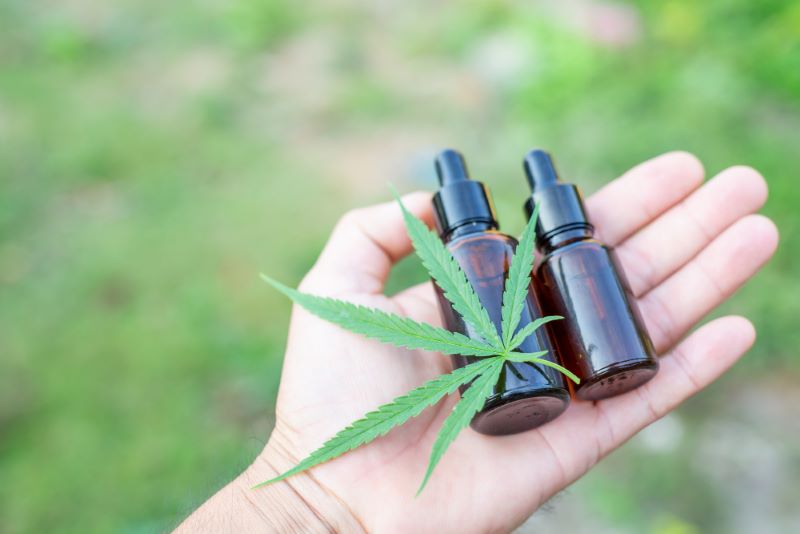 Buy CBD Oil Thailand, 7 Things You MUST Know Before Ordering Online (2026 Guide)