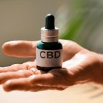 Where to Buy CBD Thailand for Premium Quality CBD Products